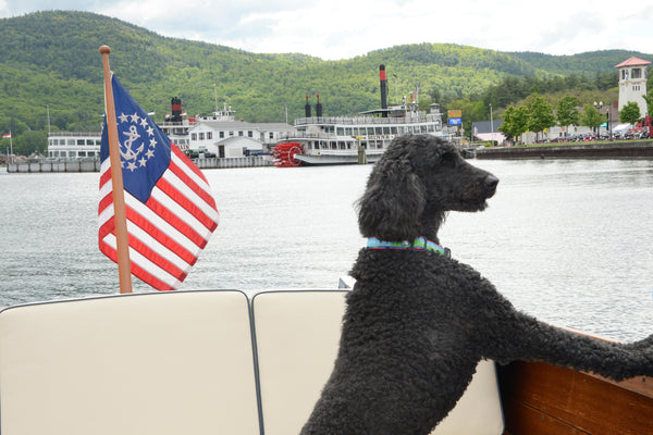 Lake George text along with our LheartG logo incorporated into a lake and mountain scene dog collar.