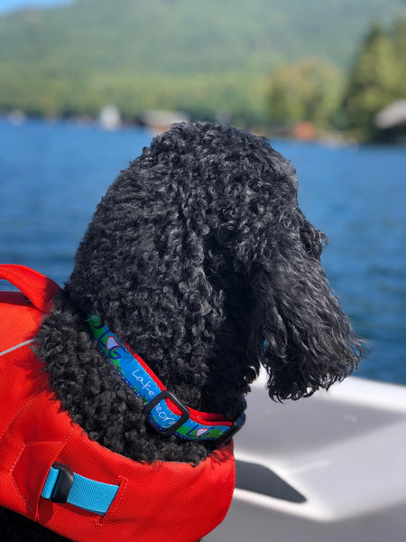 Lake George text along with our LheartG logo incorporated into a lake and mountain scene dog collar.