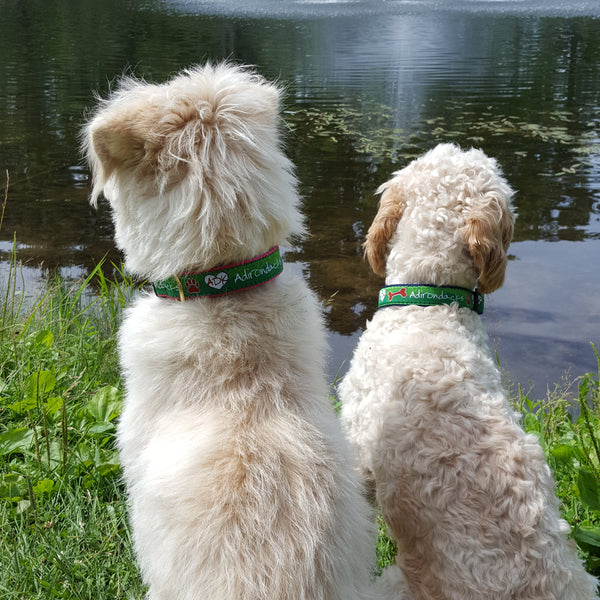 Dog collar with our ADK in a heart logo, a dog bone and the Adirondacks on a ribbon with webbing on the other side of the dog collar